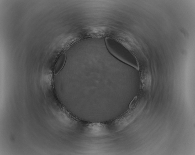 X0000115230231200911131650