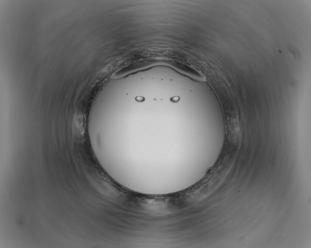 X0000115230232200911131650