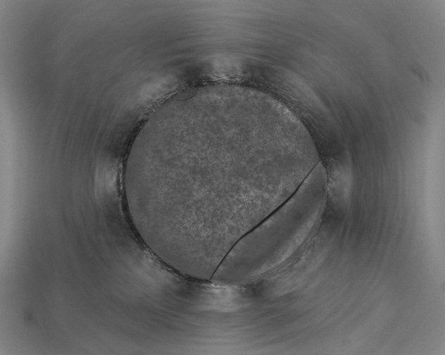 X0000115230233200911131650