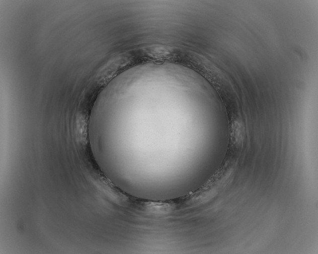 X0000115230234200911131650