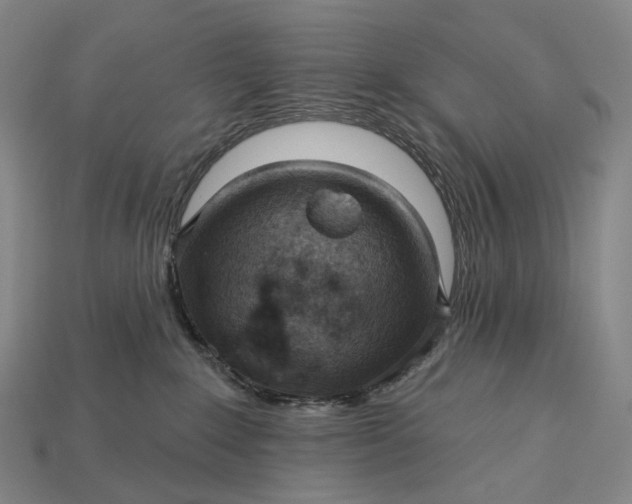 X0000115230235200911131650