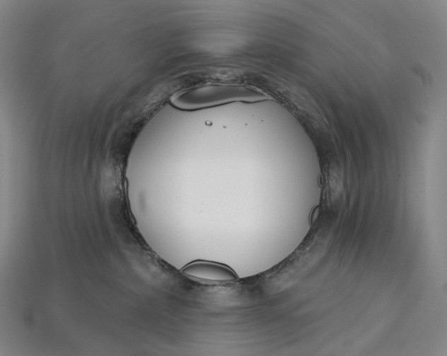 X0000115230236200911131650