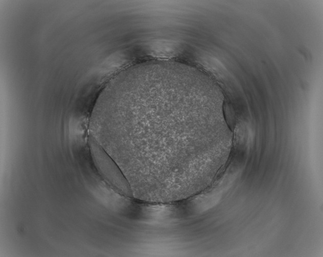 X0000115230237200911131650