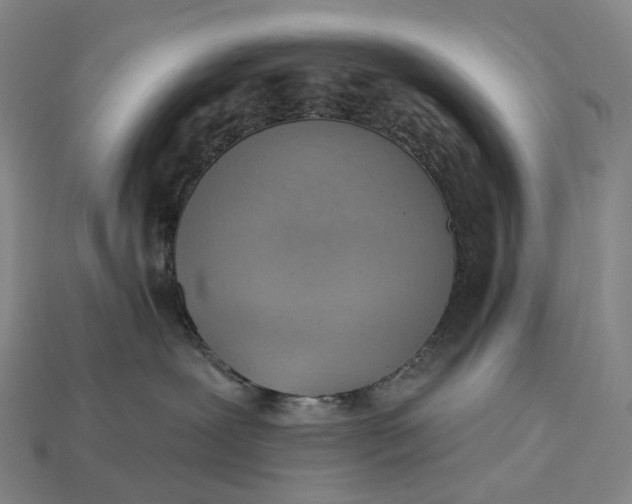 X0000115230239200911131650