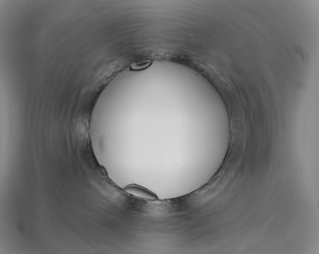 X0000115230240200911131650