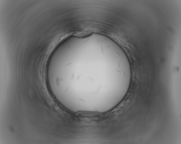 X0000115230241200911131649