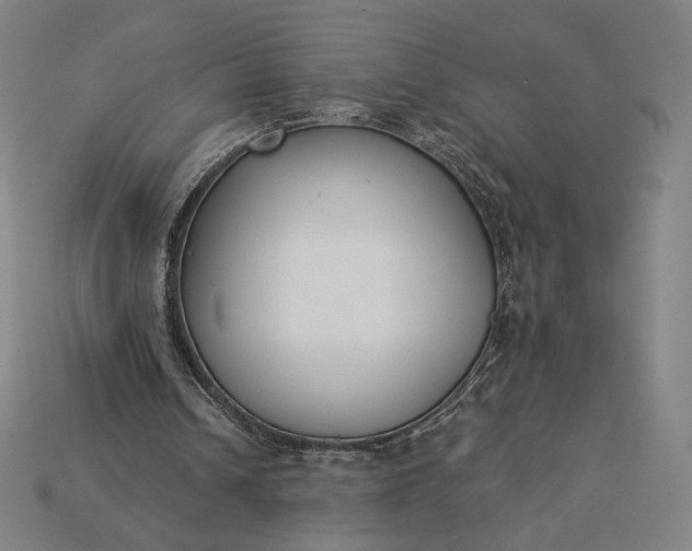 X0000115230242200911131649