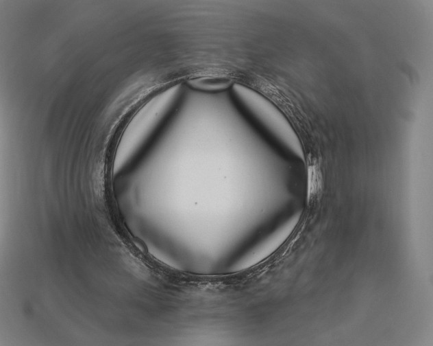 X0000115230243200911131649