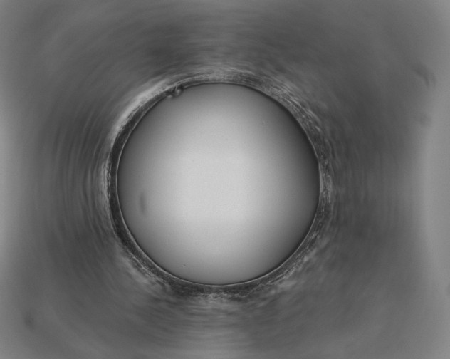 X0000115230244200911131649