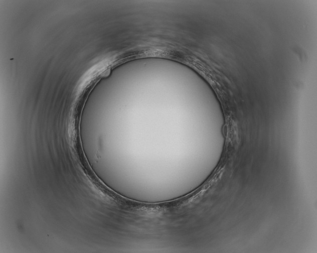 X0000115230245200911131649