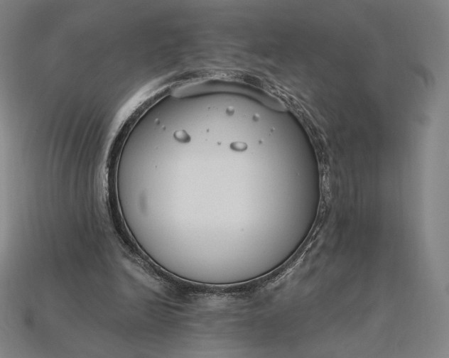 X0000115230246200911131649