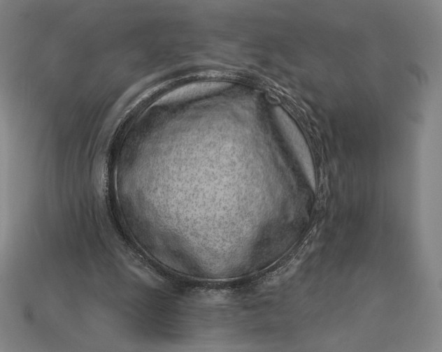 X0000115230247200911131649