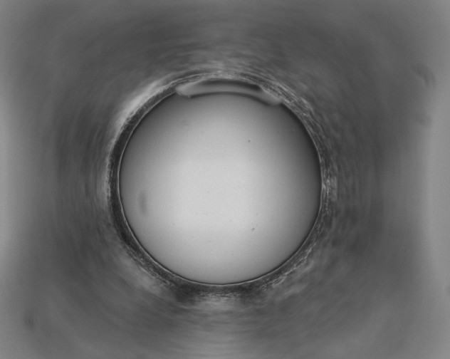 X0000115230248200911131649