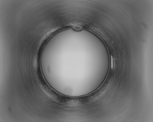 X0000115230252200911131649