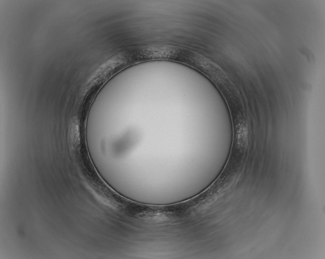 X0000115230254200911131649