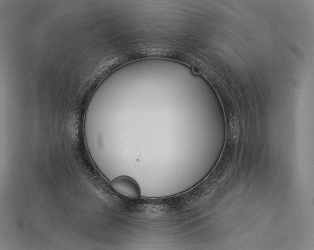 X0000115230255200911131649