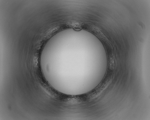 X0000115230259200911131649