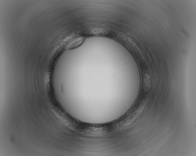 X0000115230260200911131649