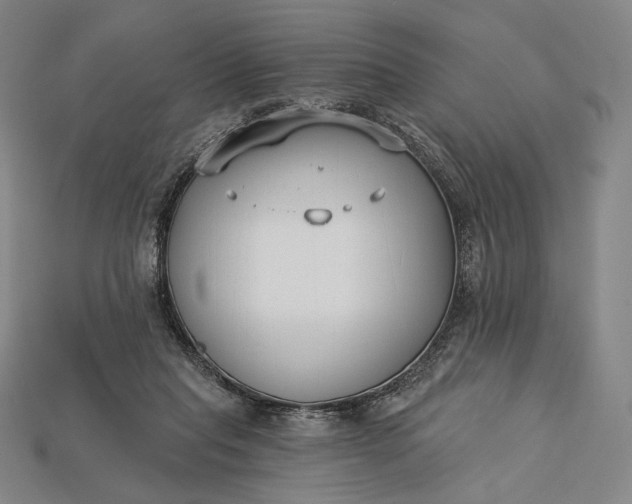 X0000115230261200911131649