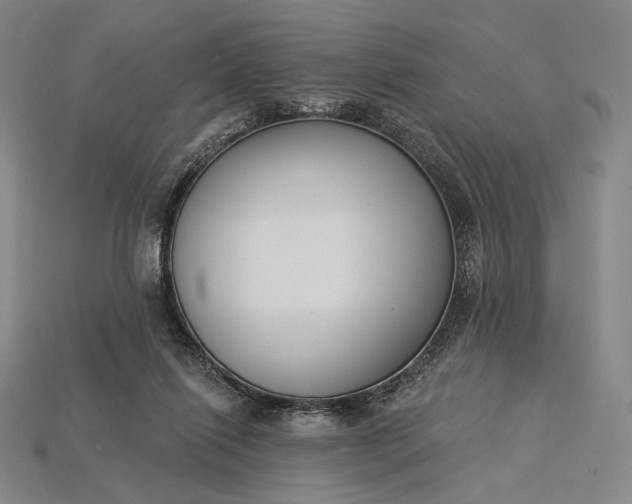 X0000115230262200911131650