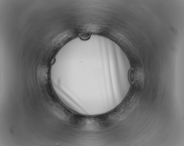 X0000115230264200911131650