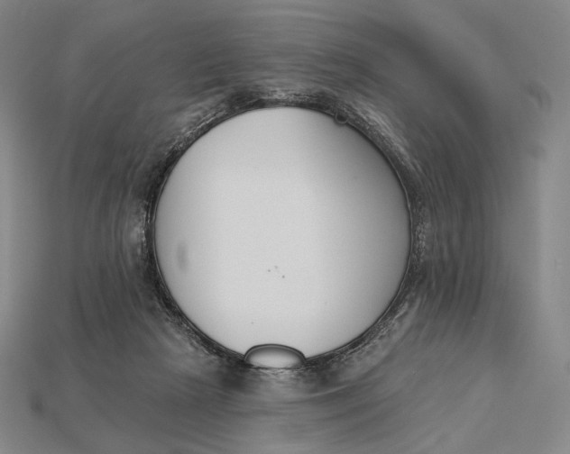 X0000115230265200911131650