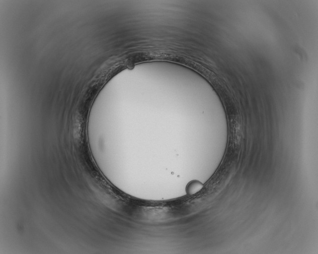 X0000115230266200911131650