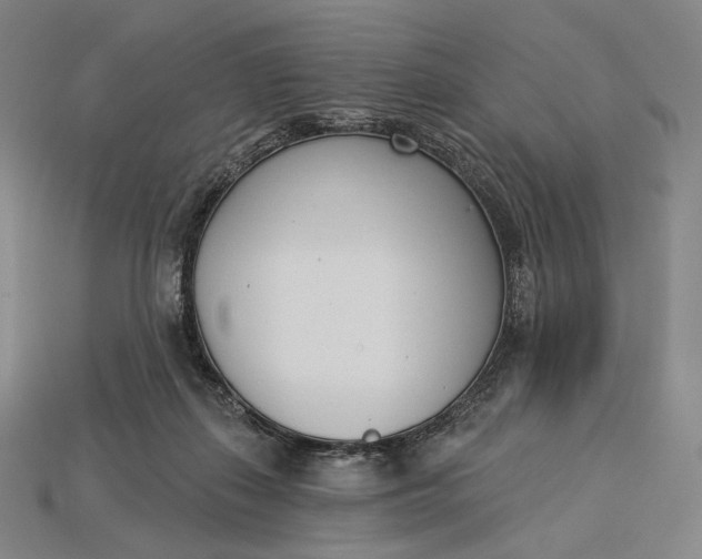 X0000115230267200911131650