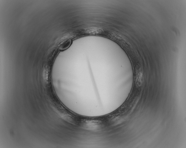 X0000115230268200911131650