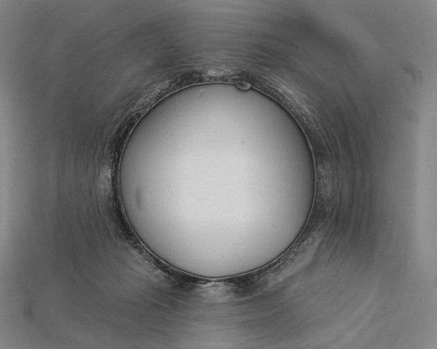 X0000115230269200911131650