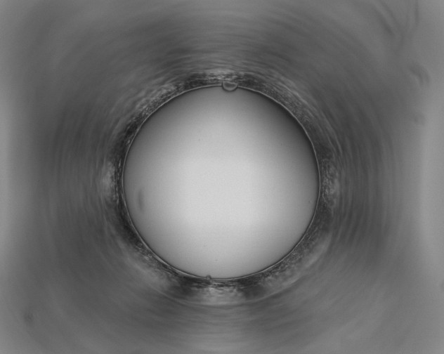 X0000115230270200911131650