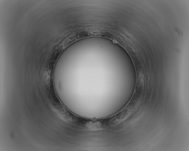 X0000115230271200911131650