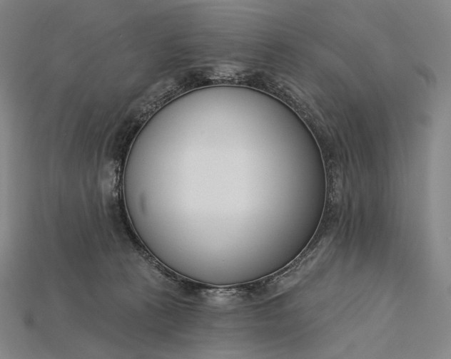 X0000115230273200911131650