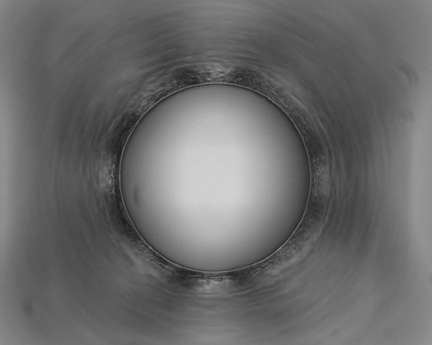 X0000115230274200911131650