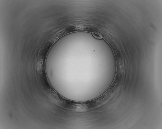 X0000115230275200911131650