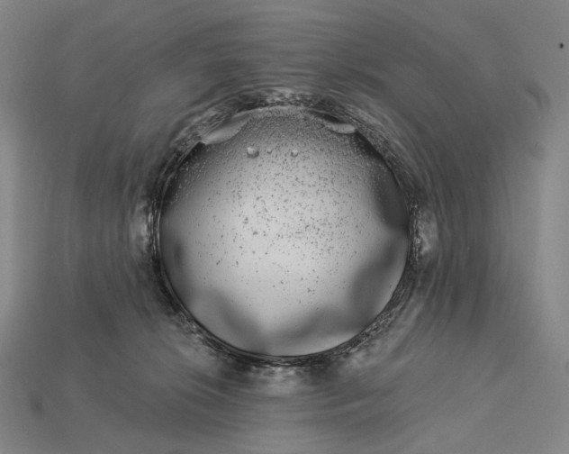 X0000115230276200911131650