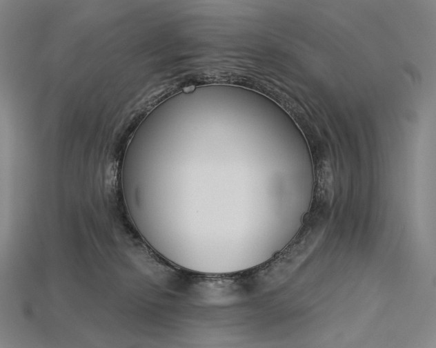 X0000115230278200911131650