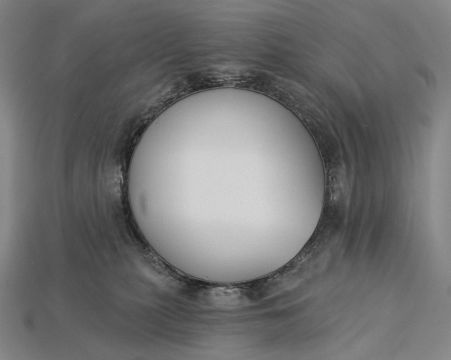 X0000115230279200911131650