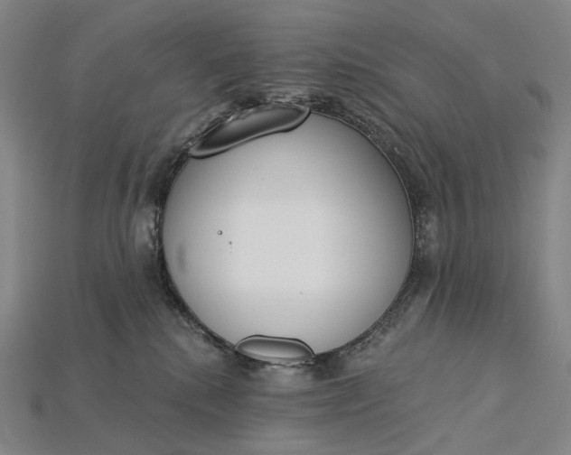 X0000115230280200911131650