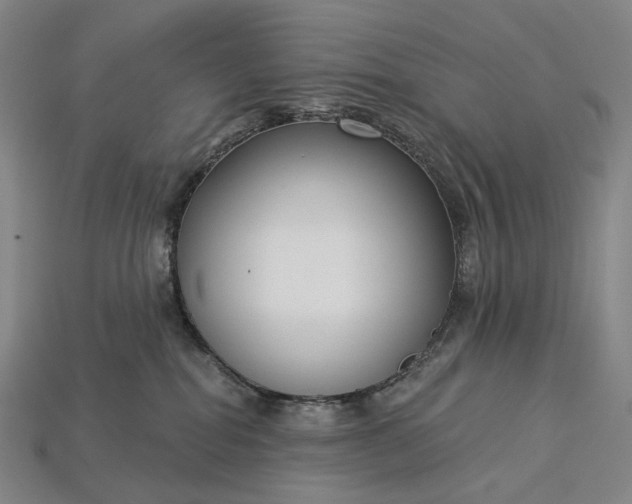 X0000115230282200911131650