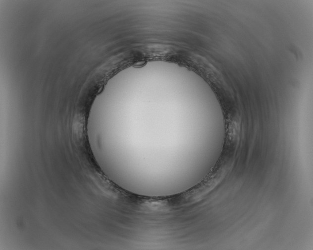 X0000115230283200911131650