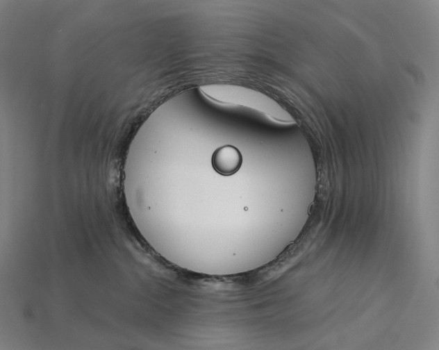 X0000115230284200911131650