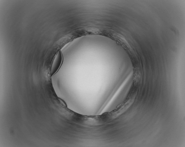 X0000115230285200911131650