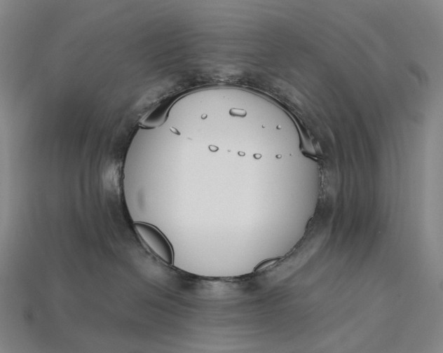 X0000115230286200911131650