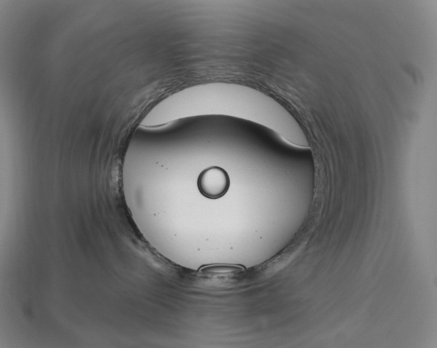 X0000115230288200911131650