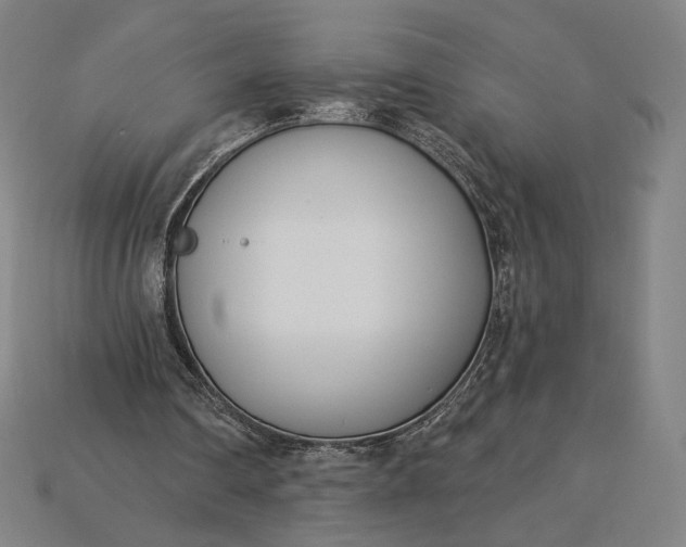 X0000115230290200911131649