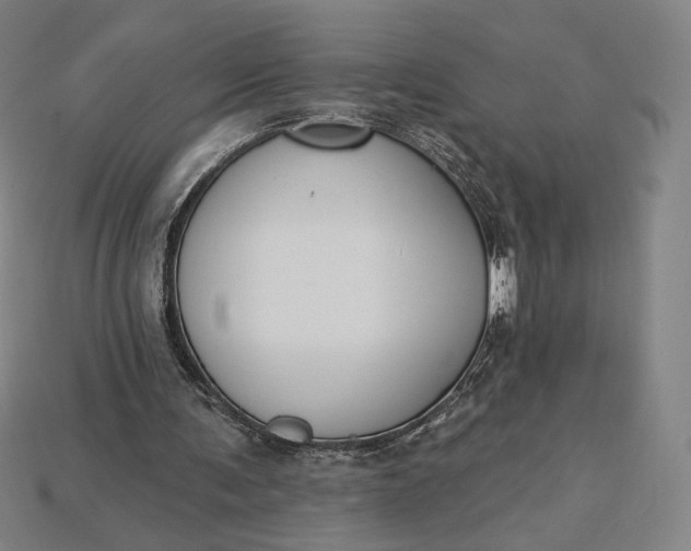 X0000115230291200911131649