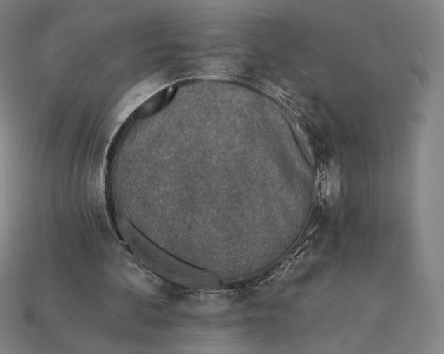 X0000115230292200911131649