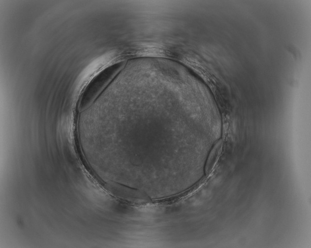 X0000115230293200911131649