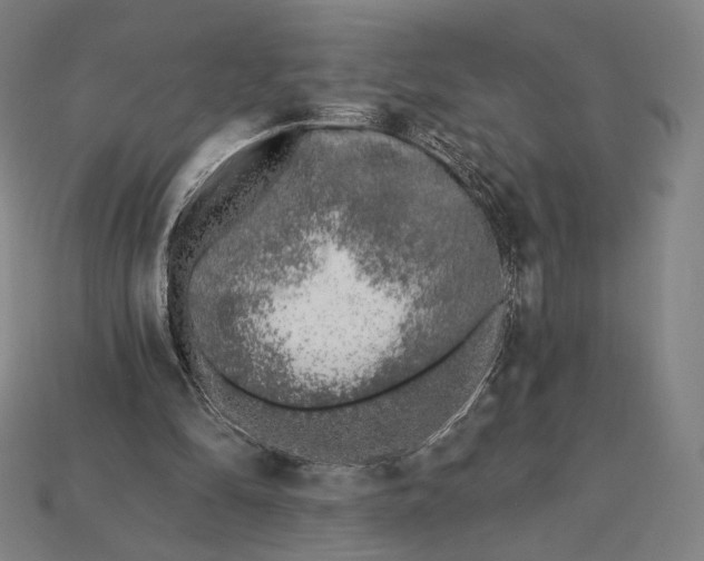 X0000115230294200911131649